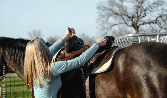 Adobe Stock 264444587 Preview