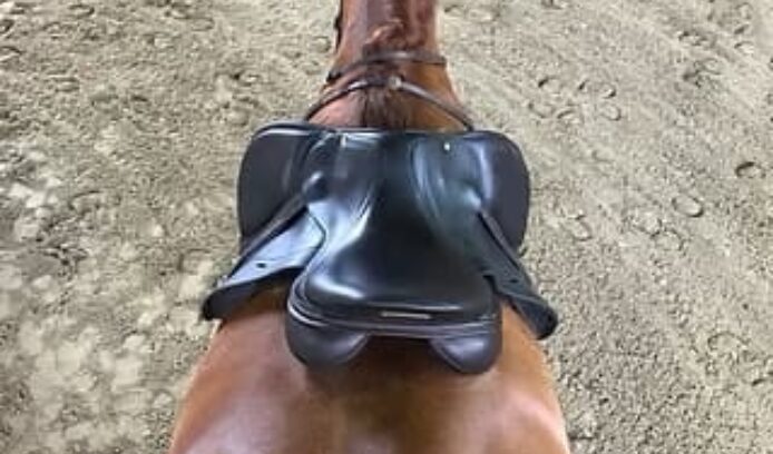 Revolutionary system