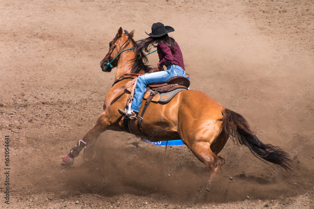 Cowboy Dressage Saddle