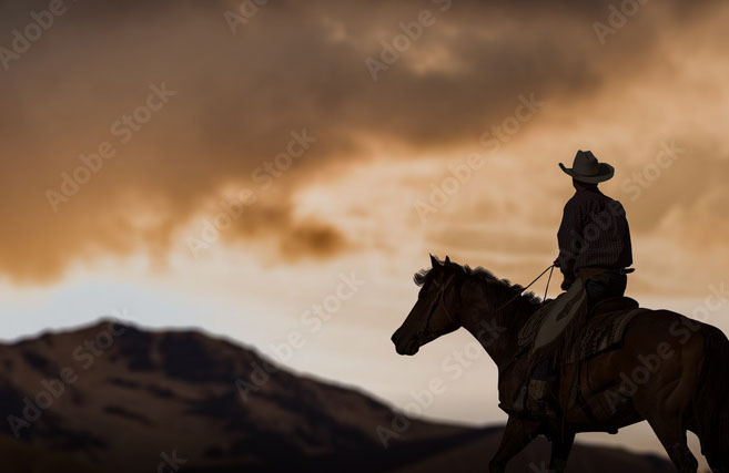Western Endurance Saddle