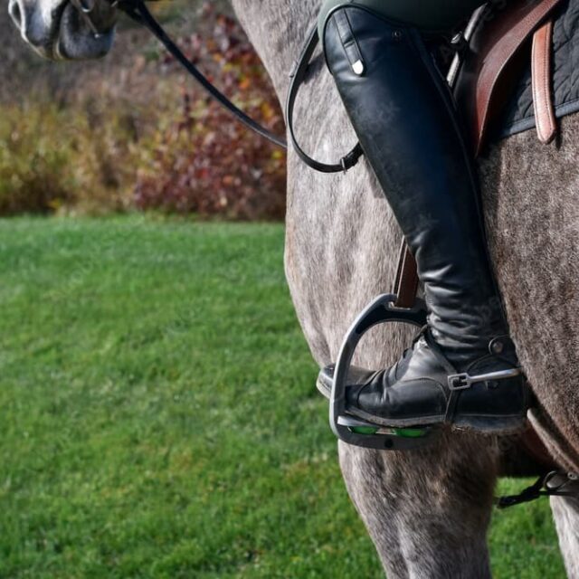 English horse stirrups
