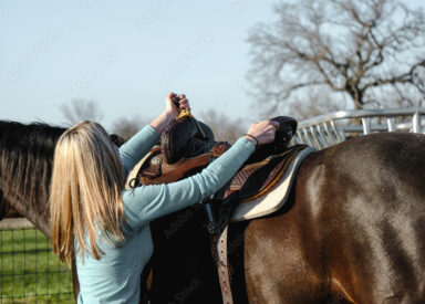 Adobe Stock 264444587 Preview