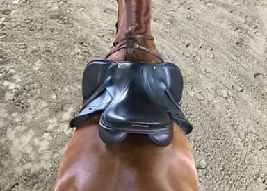 Revolutionary system