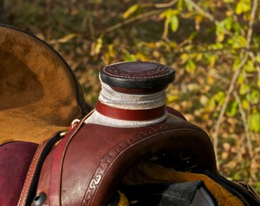 Western detailing 12