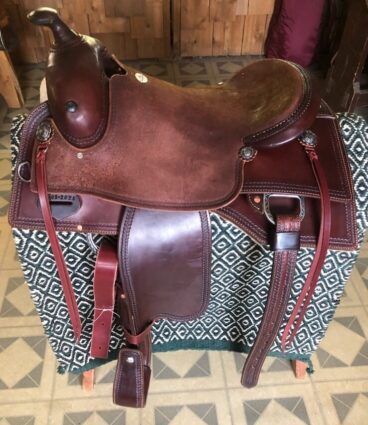 Western reining & work cowhorse