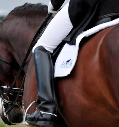 Rider in English Saddle with DK saddle blanket