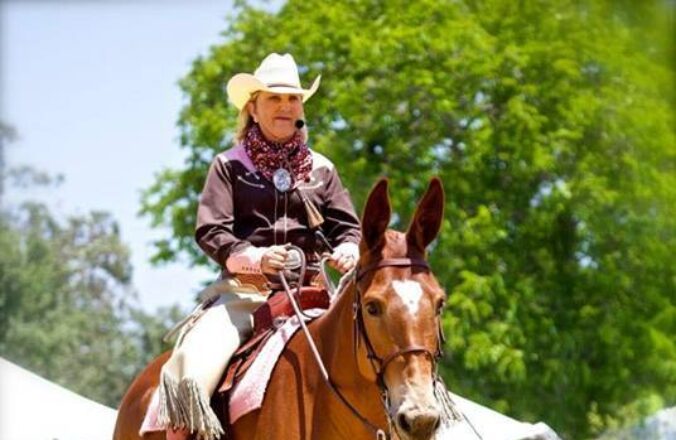 Western Cowboy Dressage Saddle with rider & horse