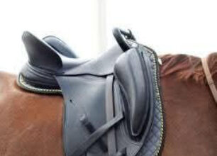 English specialty 02