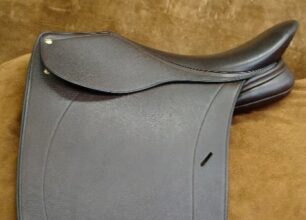 Gaited saddle 001 cropped