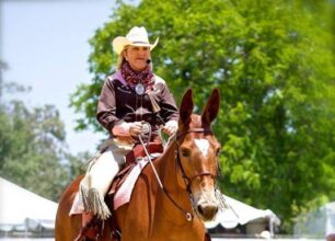 Western Cowboy Dressage Saddle with rider & horse