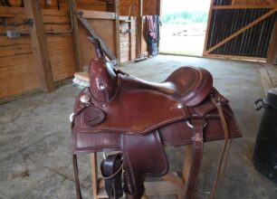 Western cowhorse 01